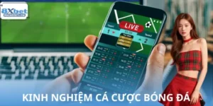 Kinh Nghiệm Cá Cược Bóng Đá Hiệu Quả Tại Website 8XBET